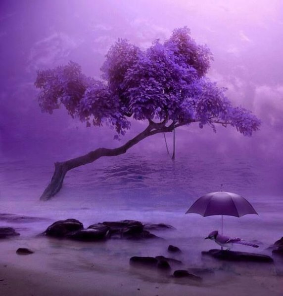Лиловый дождь