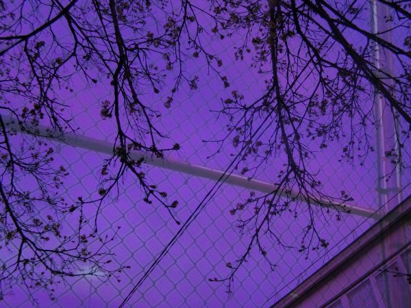 Эстетика фиолетового