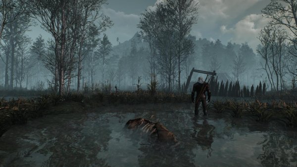 Ведьмак 3 болота