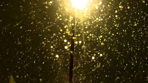 Снегопад gif