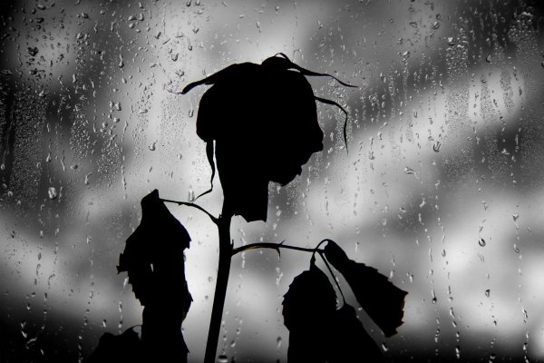 Дождь грусть