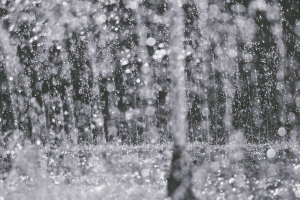 Снег с дождем