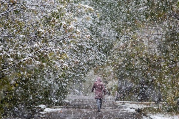 Мокрый снегопад