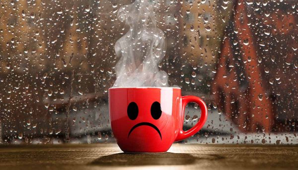 Доброе дождливое утро