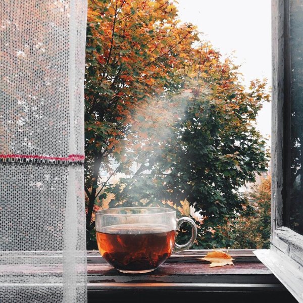 Дождливое утро осени