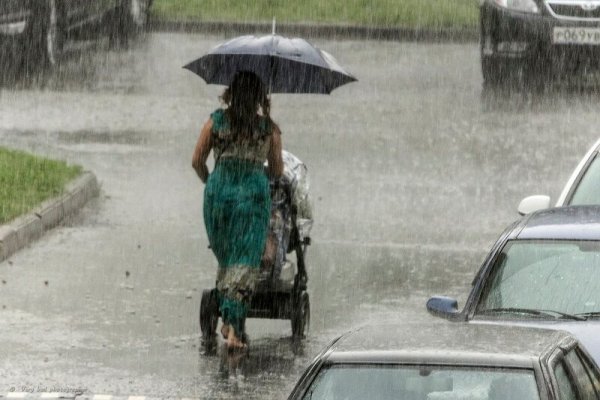 Весело под дождем