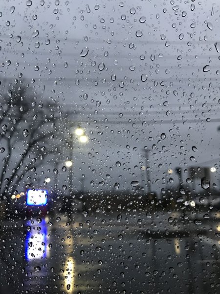 Дождливый день