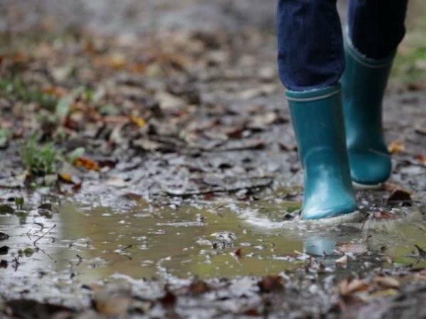 Осень слякоть дождь