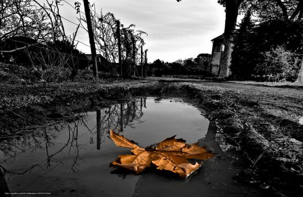 Депрессивная осень