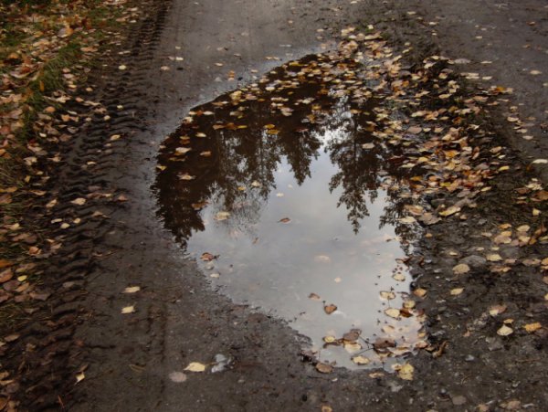 Маленькая лужа
