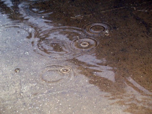 Текстура лужи