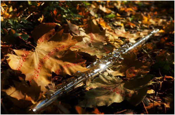 Флейта и осень