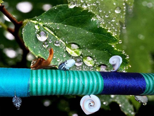 Флейта дождя