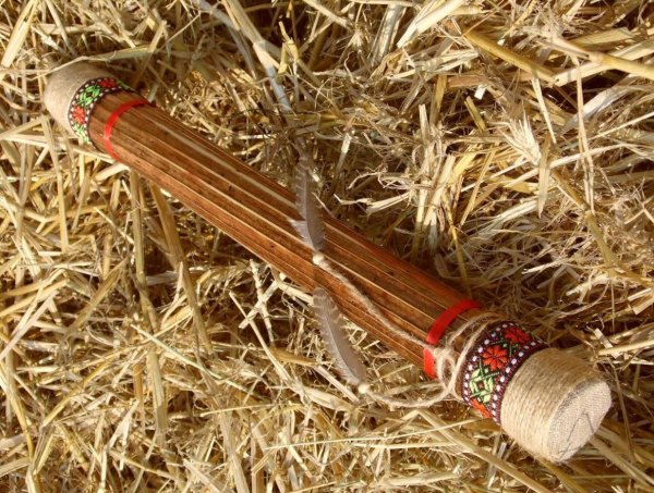 Посох дождя из борщевика