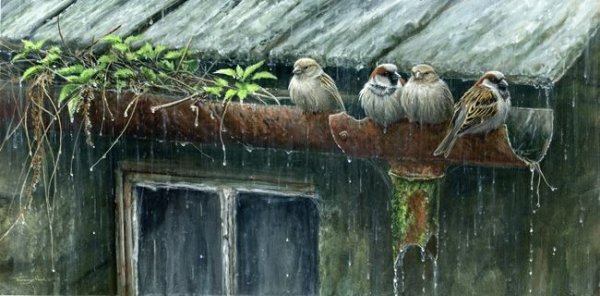 Воробей на крыше