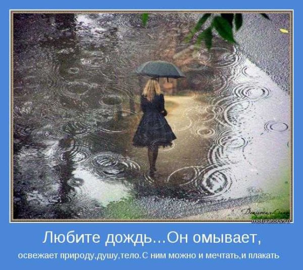 Люблю дождь