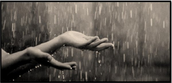 Люблю дождь