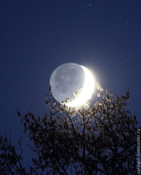 Дождевая Луна