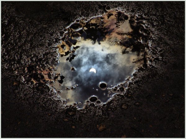 Отражение Луны в луже