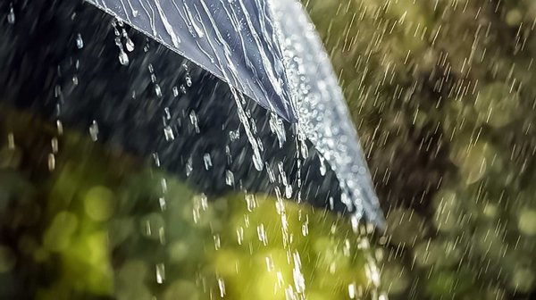 Сильный ветер и дождь