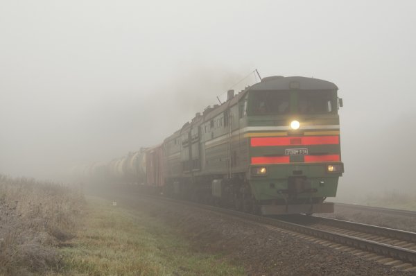2тэ10м 2466