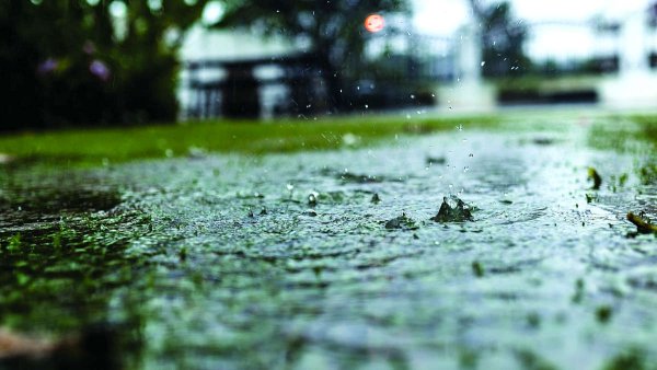 Ядовитый дождь