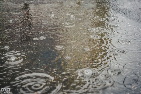 Кислотные дожди