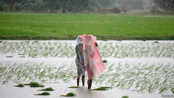 Ядовитый дождь