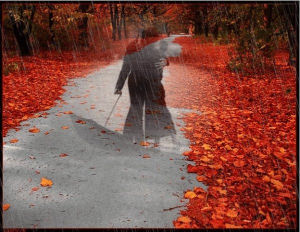 Осень дождь