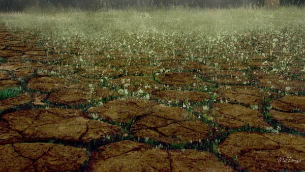 Кислотные дожди