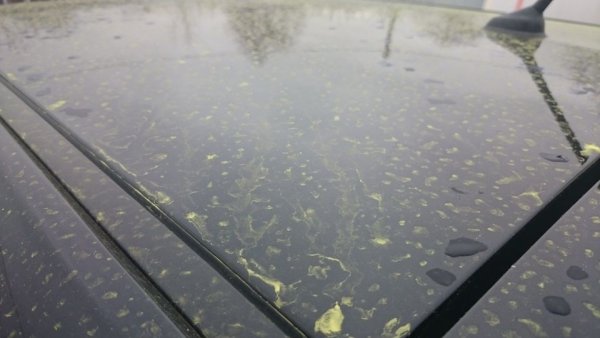 Серные дожди