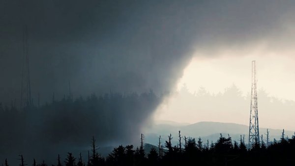 Кислотные дожди