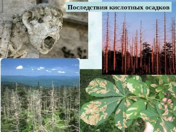 Последствия кислородных дождей