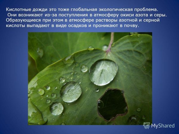Кислотные дожди