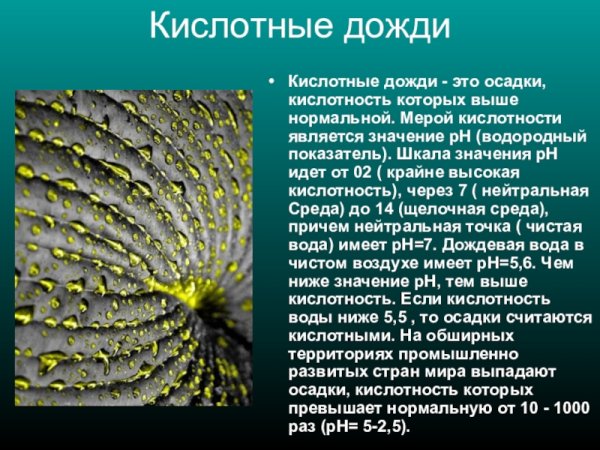 Кислотные осадки