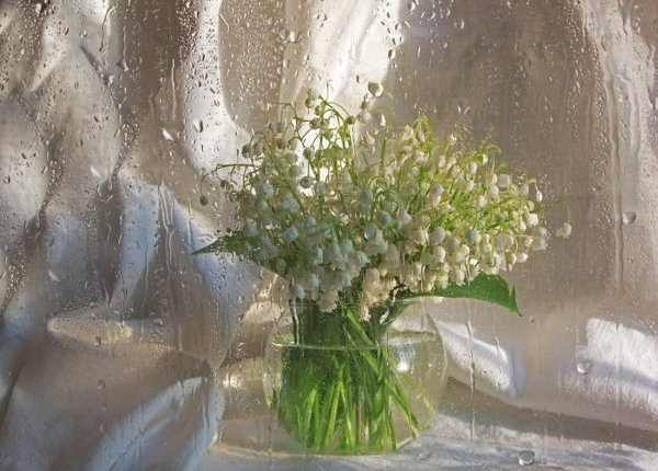 Майское утро дождливое Весеннее