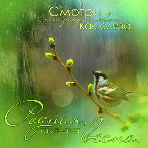 С добрым дождливым весенним утром