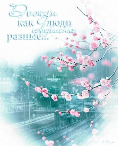 Весна и дождь картинки с надписями