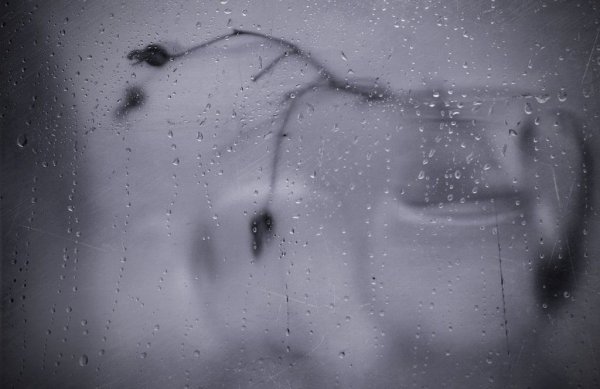 Глаза под дождем