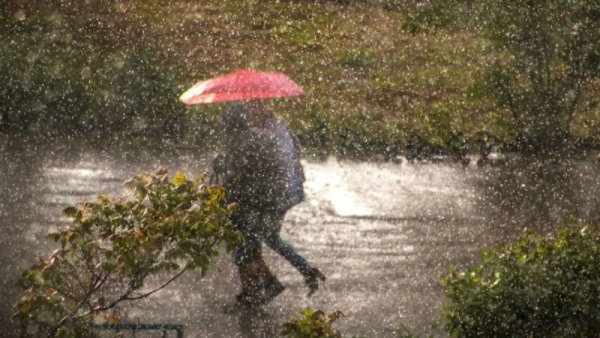 Непогода дождь ветер