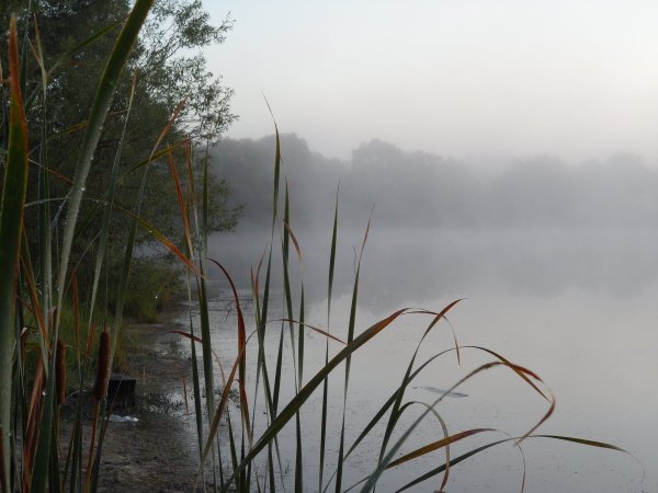 Моросящий дождь