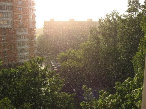 Мелкий дождь ситничек