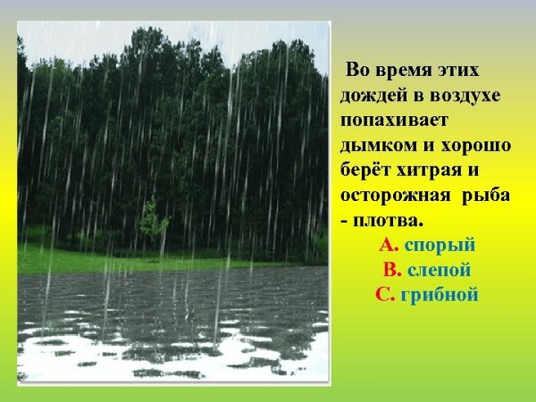 Описание ливня