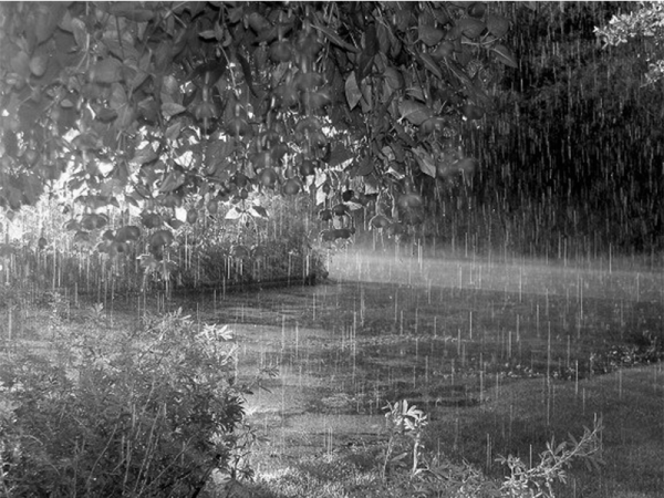 Теплый ливень