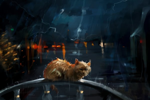 Котенок под дождем