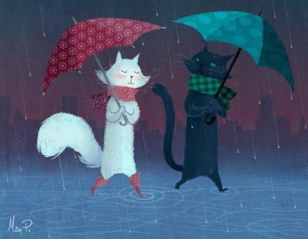 Котик под зонтиком