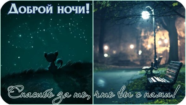 Спокойной дождливой ночи