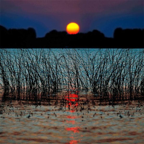 Летний вечер природа гифка