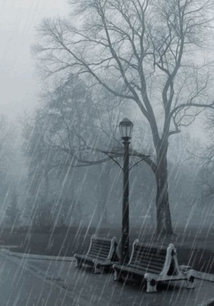 Дождь серость