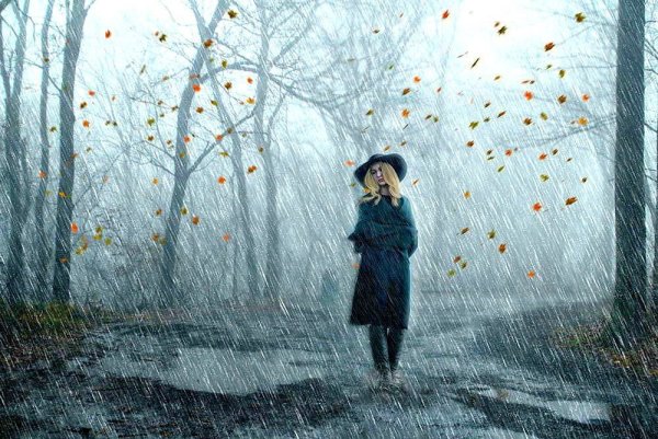 Поздняя осень дождь